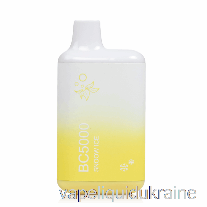 Vape Liquid Ukraine BC5000 Disposable Snoow Ice